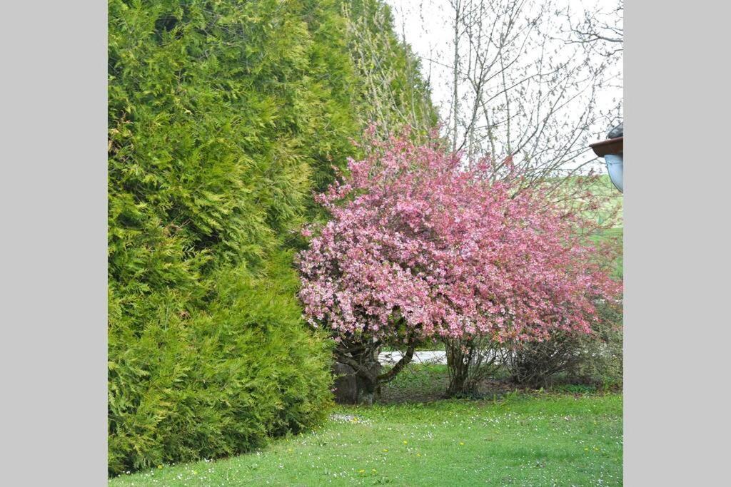 Domaine Des Montots Villa Tanlay Exterior foto
